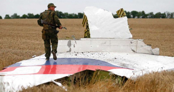 Man stands on plane wreckage